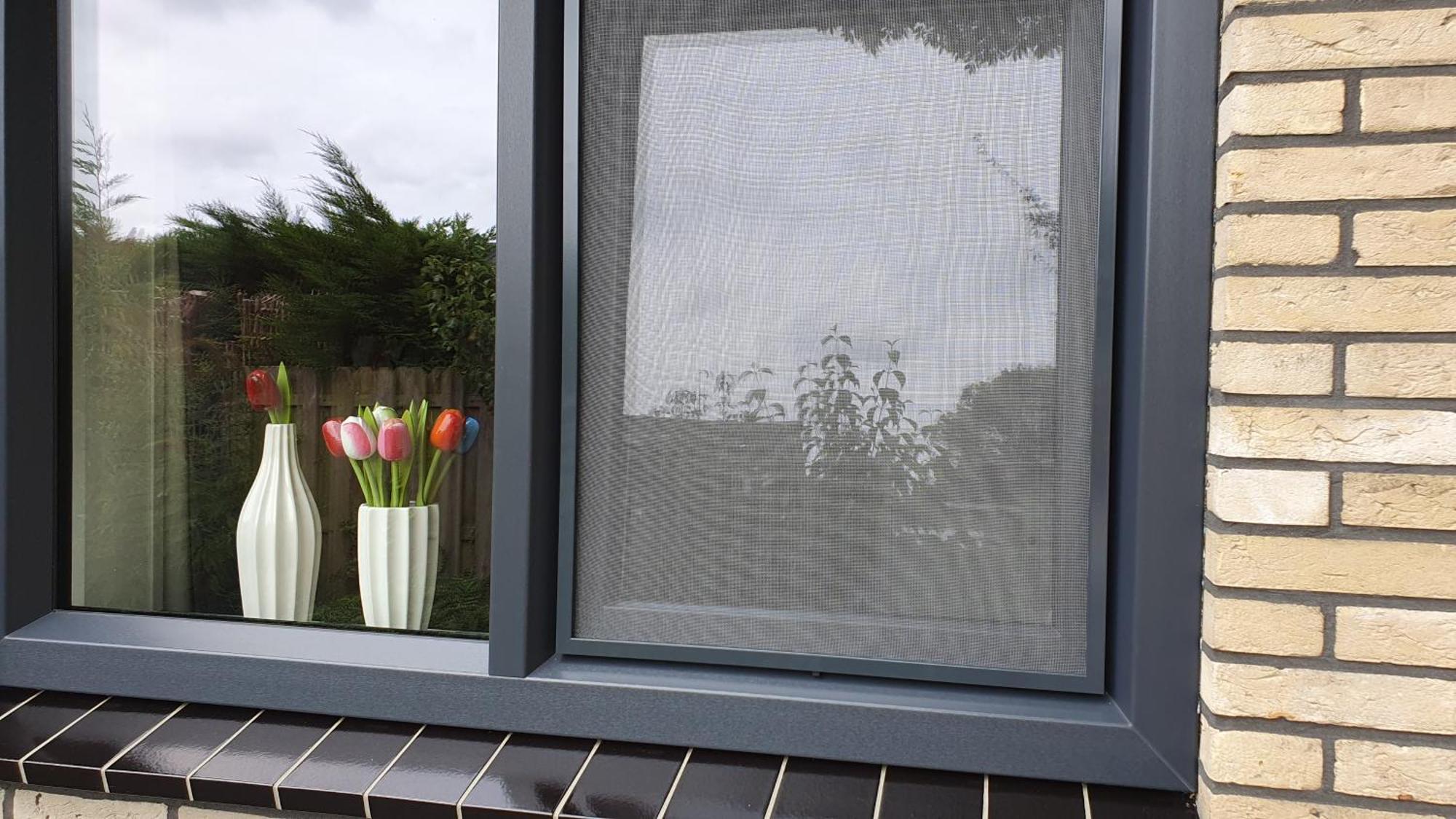 Luxe Zomerwoning Met Omheinde Tuin Voor Hond En Kinderen Dirkshorn 외부 사진